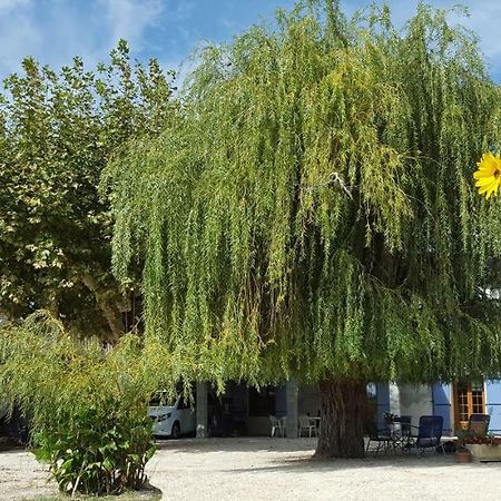Dreams Of Provence Guest House Courthezon Luaran gambar